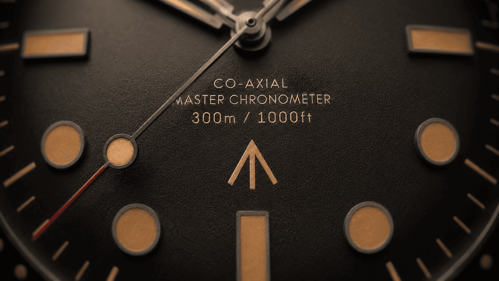 Macro view of the Seamaster dial
